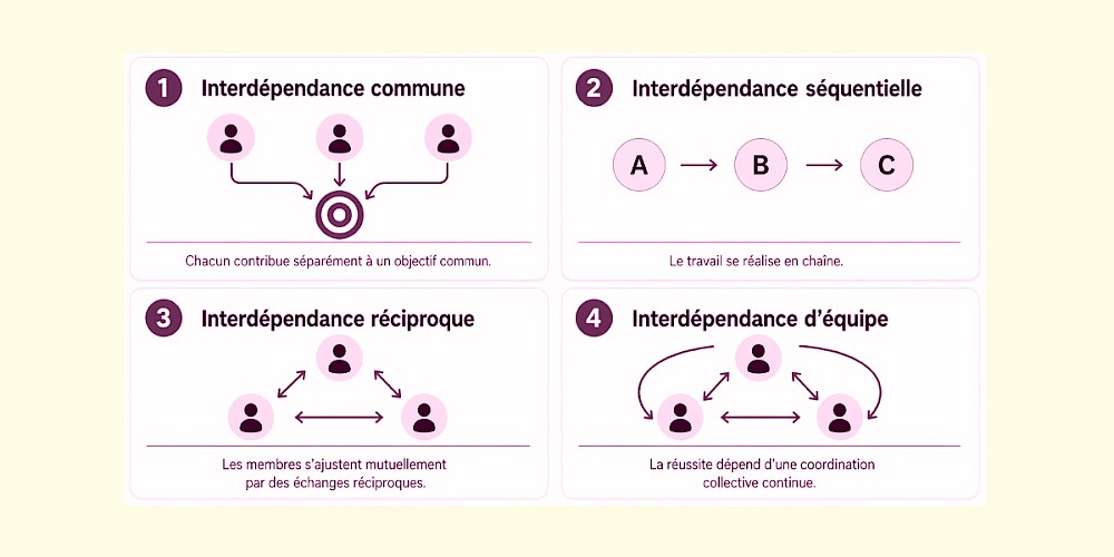 Consolidation et interd&eacute;pendances en &eacute;quipe - OAAQ - Bulletin de juin 2026